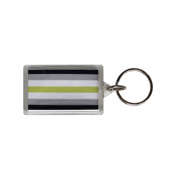 Agender Flag Key Ring (T5149)