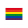 Rainbow Pride Aufkleber / Sticker 9,5 x 12,7cm / 3.5 x 5 inch (T1044)