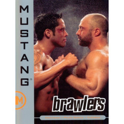 Brawlers DVD (Mustang (Falcon)) (02521D)
