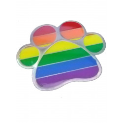 Pin Rainbow Paw (T5844)