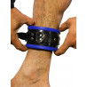 Rude Rider Ankle Cuffs with Padding Leather Black/Blue (Set of 2) One Size (T7338)