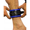 Rude Rider Ankle Cuffs with Padding Leather Black/Blue (Set of 2) One Size (T7338)