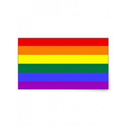 Rainbow Aufkleber / Sticker 5,2 x 7,0 cm (T3601)
