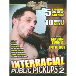 Interracial Public Pickups #2 DVD (Dog Fart Gay) (19102D)