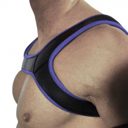 Rude Rider Neoprene Harness Black/Purple (T7301)