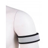 Rude Rider Neoprene Puppy 2 Biceps Straps Grey (T7260)