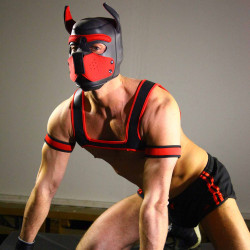 RudeRider Neoprene Harness Black/Red (T7254)