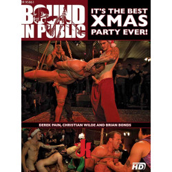 It´s The Best Xmas Party Ever! DVD (Bound In Public) (20490D)