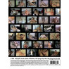 Old Reliable Vol. 5-8 4-DVD-Box (Dragon Media) (21129D)