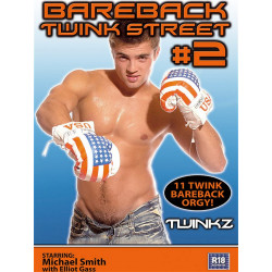 Bareback Twink Street #2 DVD (Twinkz) (07835D)