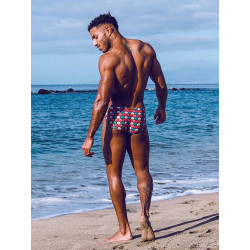 2Eros Print V10 Swim Brief Retro Red (T9656)