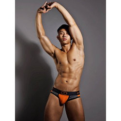 2Eros ReAktiv Brief Underwear Iron Sulfur (T5977)