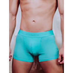 Supawear Just Supa Trunk Underwear Mint (T11654)