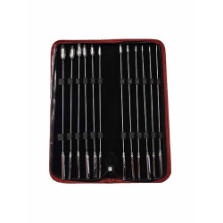 Rouge Stainless Steel 12 Piece Rosebud Urethral Sound Kit (T11450)