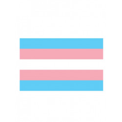 Trans Flag Aufkleber / Sticker 5.0 x 7,6 cm / 2 x 3 inch (T4731)