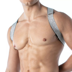 TOF Paris Magic X Harness Silver (T11985)