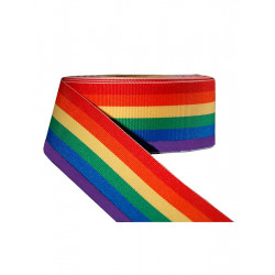 Rainbow Stripe Ribbon 7/8inch / 22mm wide 10m (T1534)