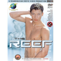 The Reef DVD (SEVP) (02485D)