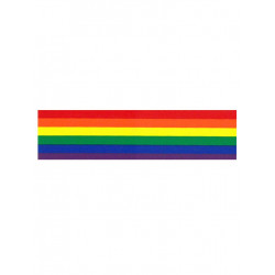 Rainbow Aufkleber / Sticker 5,08 x 38,1 cm / 2 x 15 inch (T5196)