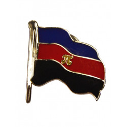 Pin Waving Polyamory Flag (T5227)