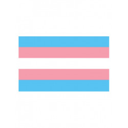 Trans Flag Aufkleber / Sticker 5.0 x 7,6 cm (T5204)