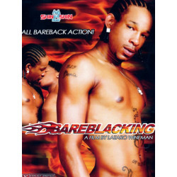 Bareblacking DVD (Skin 2 Skin) (15540D)